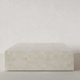 Mala Fossil Coffee Table