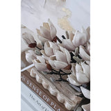 Magnolia Japanese Cream Spray