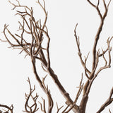 Brown Twig Branch