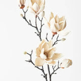 Magnolia Japanese Cream Spray