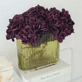 Hydrangea - Eggplant