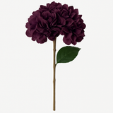 Hydrangea - Eggplant