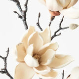 Magnolia Japanese Cream Spray