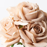 Rose Bouquet - Latte