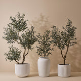 Blanc Pot